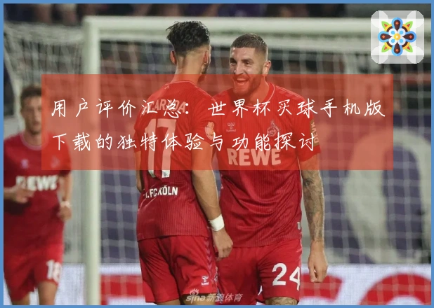用户评价汇总：世界杯买球手机版下载的独特体验与功能探讨