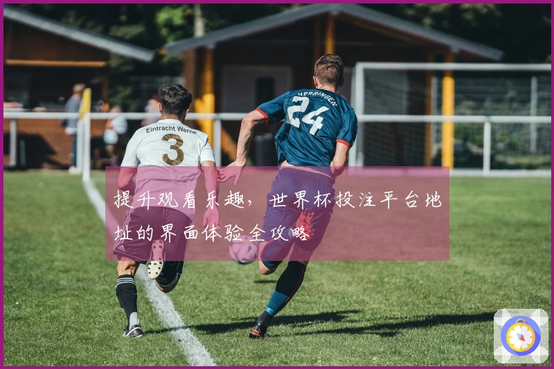 提升观看乐趣，世界杯投注平台地址的界面体验全攻略