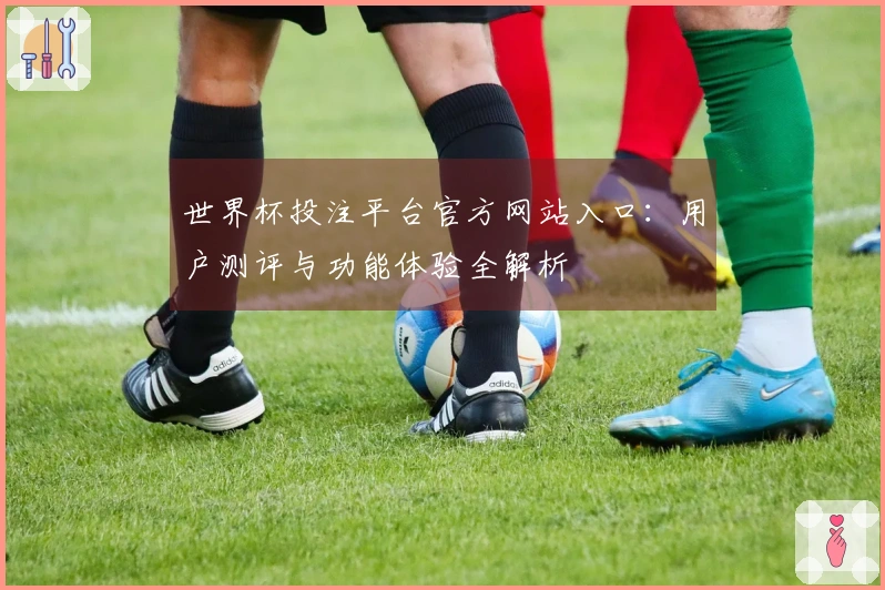 世界杯投注平台官方网站入口:用户测评与功能体验全解析
