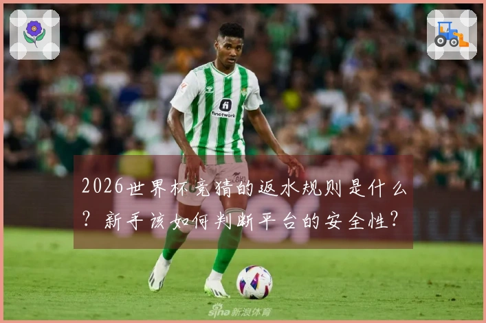 2026世界杯竞猜的返水规则是什么？新手该如何判断平台的安全性？