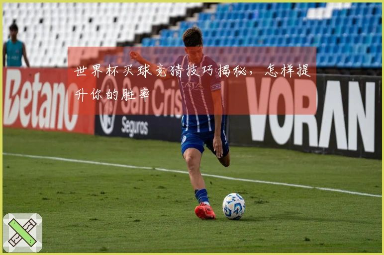 世界杯买球竞猜技巧揭秘，怎样提升你的胜率