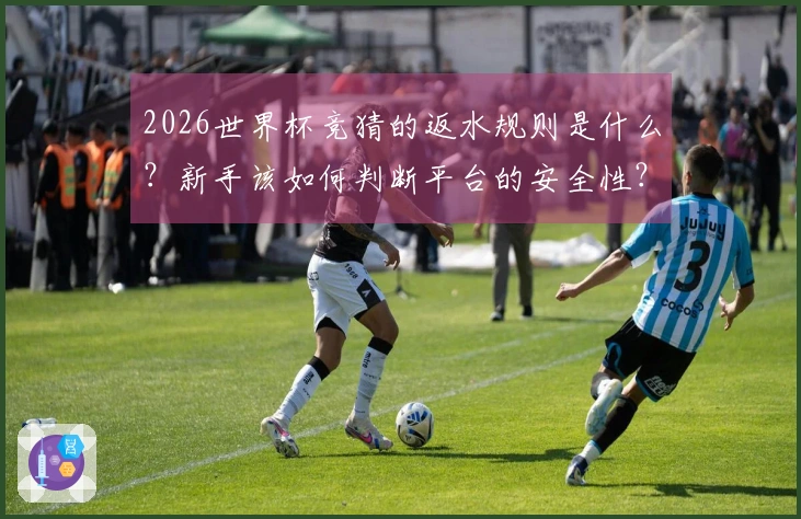 2026世界杯竞猜的返水规则是什么？新手该如何判断平台的安全性？