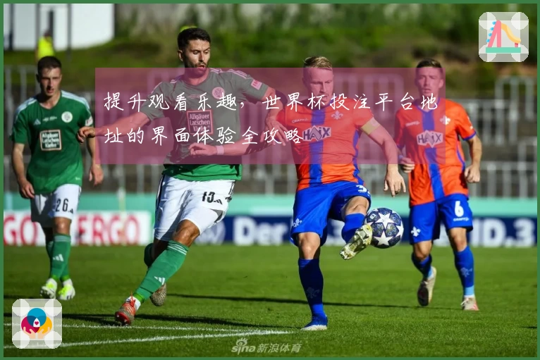 提升观看乐趣，世界杯投注平台地址的界面体验全攻略