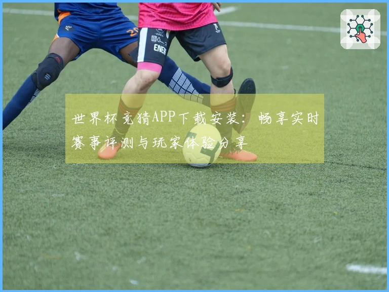 世界杯竞猜APP下载安装：畅享实时赛事评测与玩家体验分享