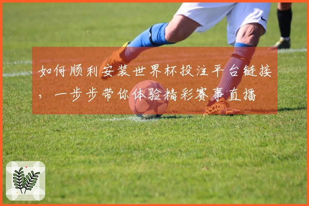 如何顺利安装世界杯投注平台链接，一步步带你体验精彩赛事直播