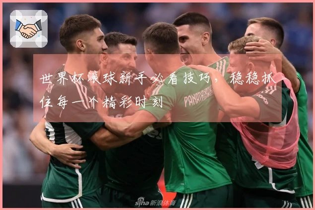 世界杯滚球新手必看技巧，稳稳抓住每一个精彩时刻