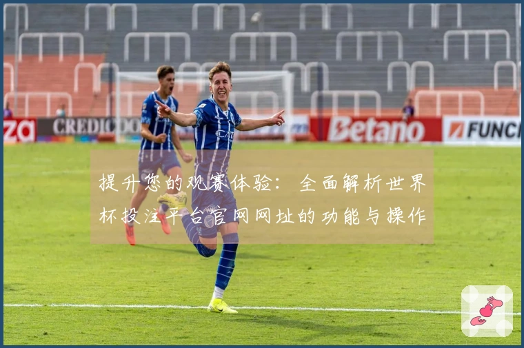 提升您的观赛体验：全面解析世界杯投注平台官网网址的功能与操作指南