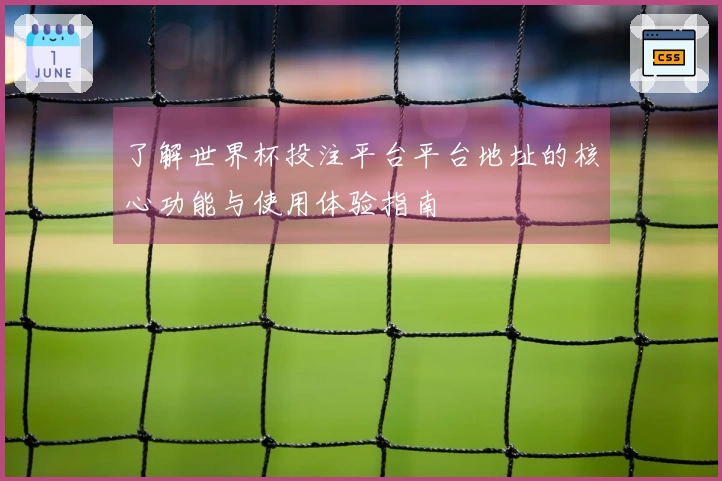 了解世界杯投注平台平台地址的核心功能与使用体验指南