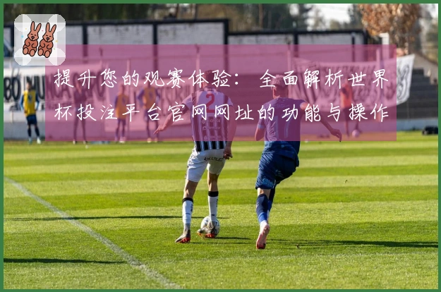 提升您的观赛体验:全面解析世界杯投注平台官网网址的功能与操作指南